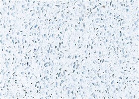 whiTe epoxy terrazzo for floors