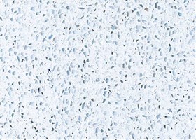 whiTe epoxy terrazzo for floors