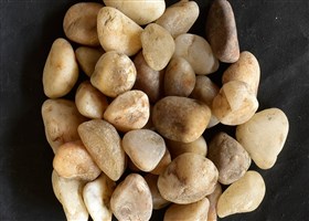 Mahi Sp. Pebbles