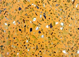 Dark yellow polished terrazzo flooring with mirrors