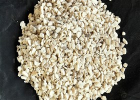 beige_colour_chips