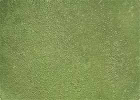 freeform green hardtop flooring