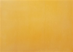 Raj Yellow FF MicroCement
