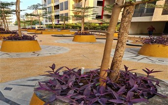 CalcoPremia—Exposed Granular Texture around the planters in KPM residency