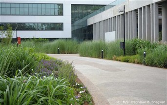 pebble exterior flooring at bosch Bengaluru